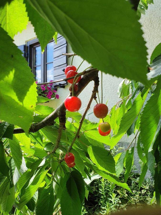 Holiday Home Demark Jurdani Zewnętrze zdjęcie